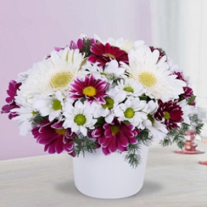  Malatya Çiçek Gönder - seramik vazoda gerbera ve papatya
